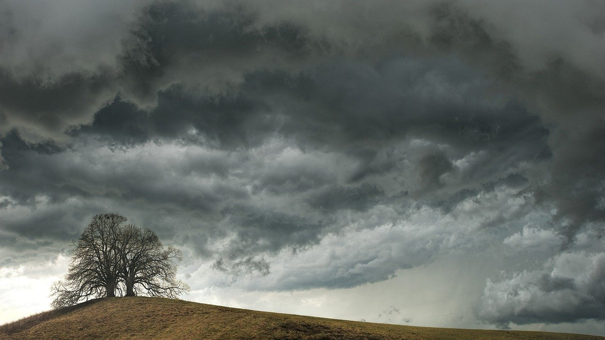 Dein Hund hat Angst vor Gewitter? So kannst Du schnell helfen!