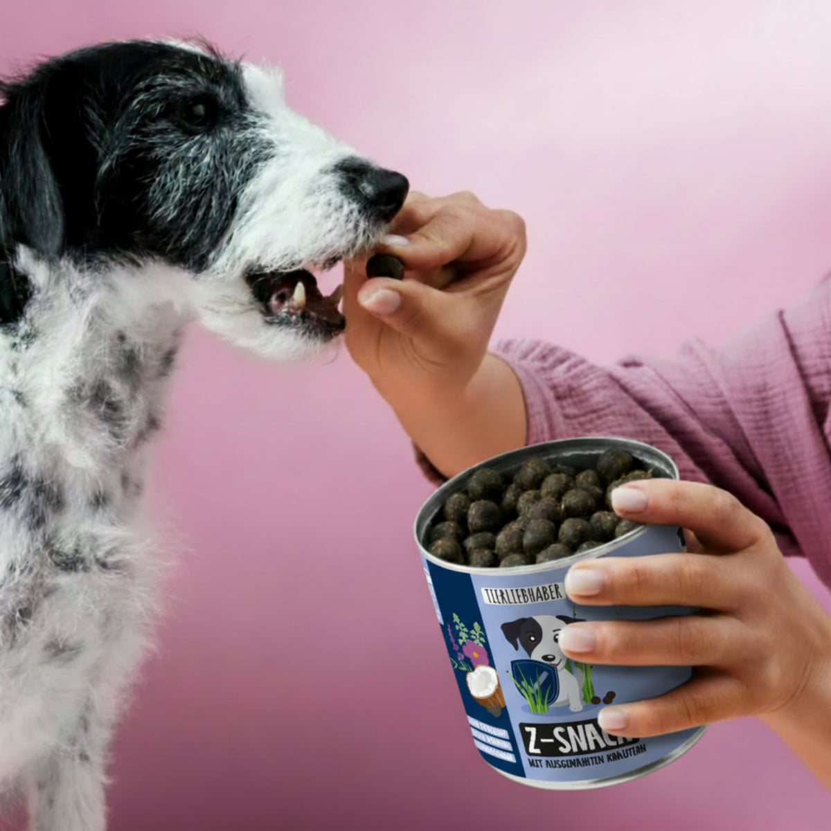 Z-Snack