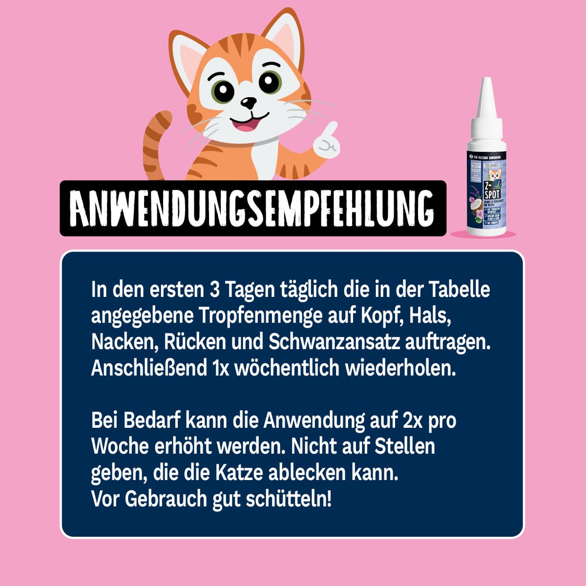 Z-Spot Katze