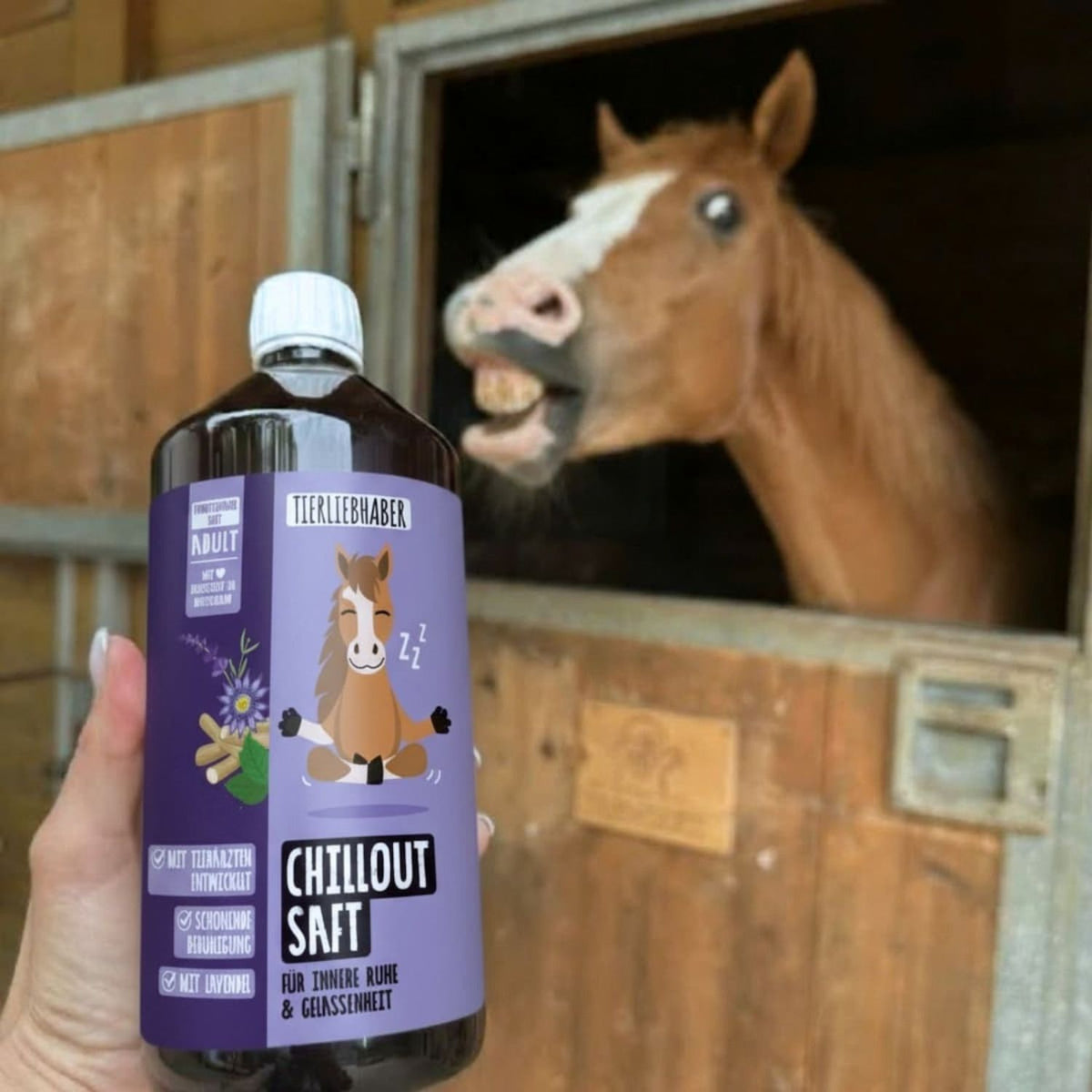 Chilloutsaft Pferd