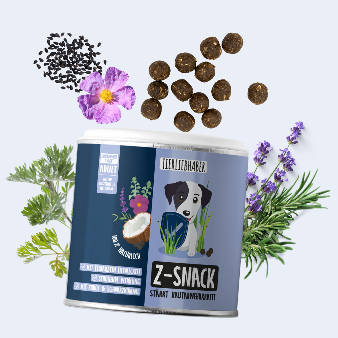 Z-Snack Z-Snack