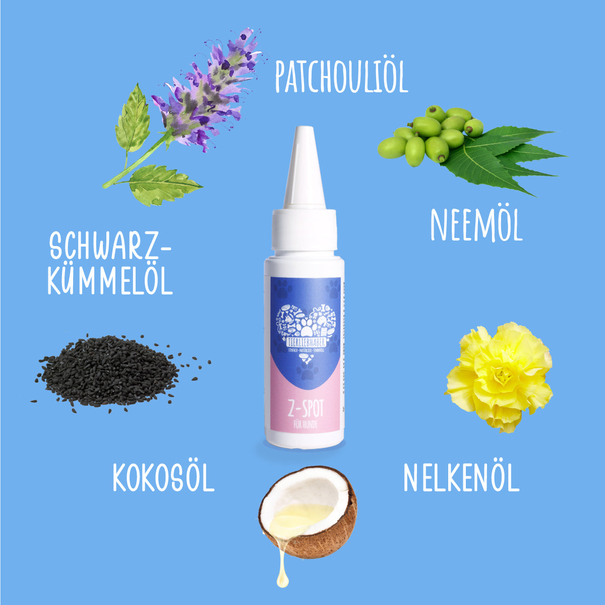 Z-Spot mit Original-Formel - gratis
