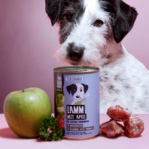 Nassfutter Lamm mit Apfel 400g