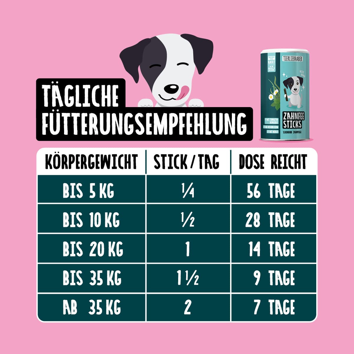 Zahnfee Bundle XL