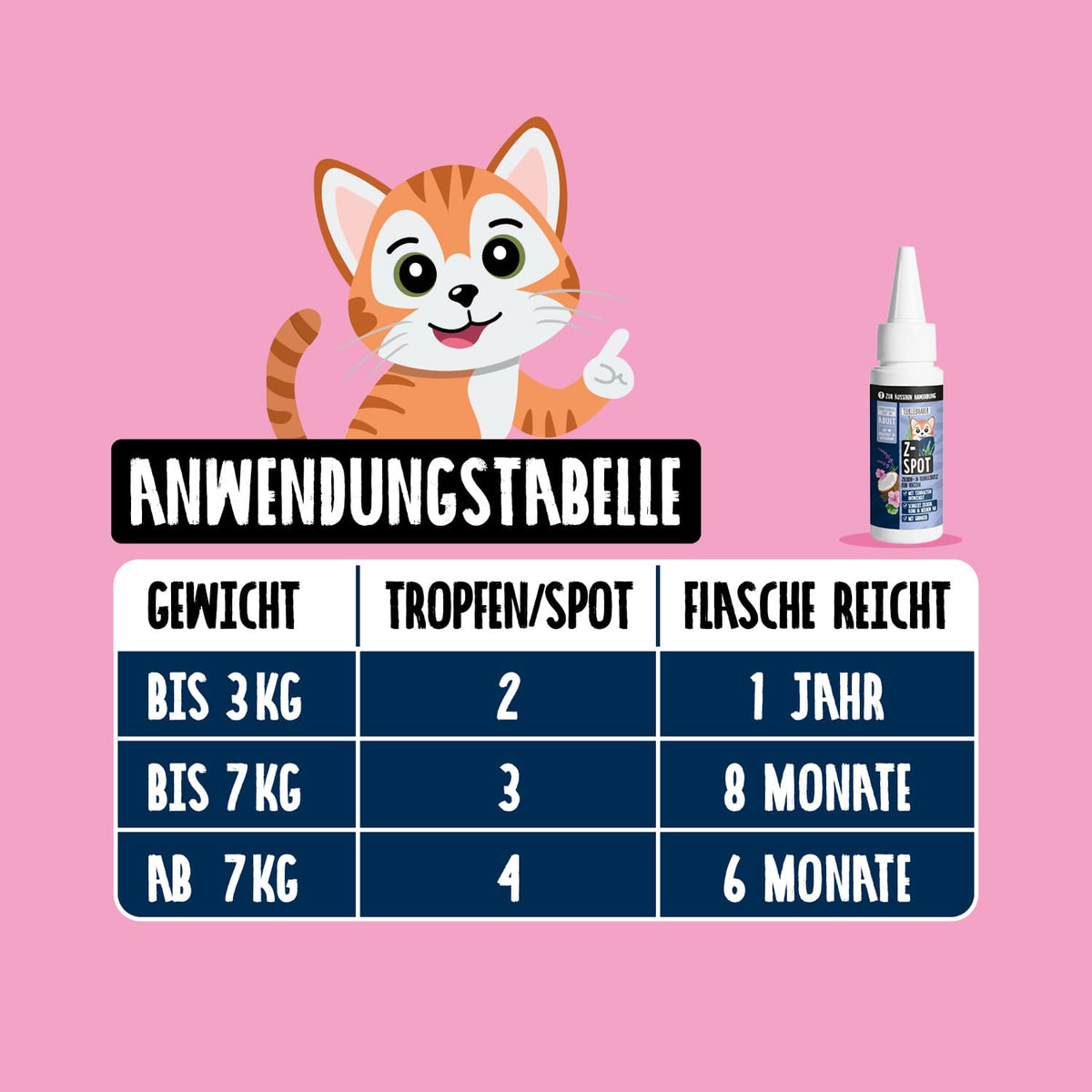 Z-Bundle Katze