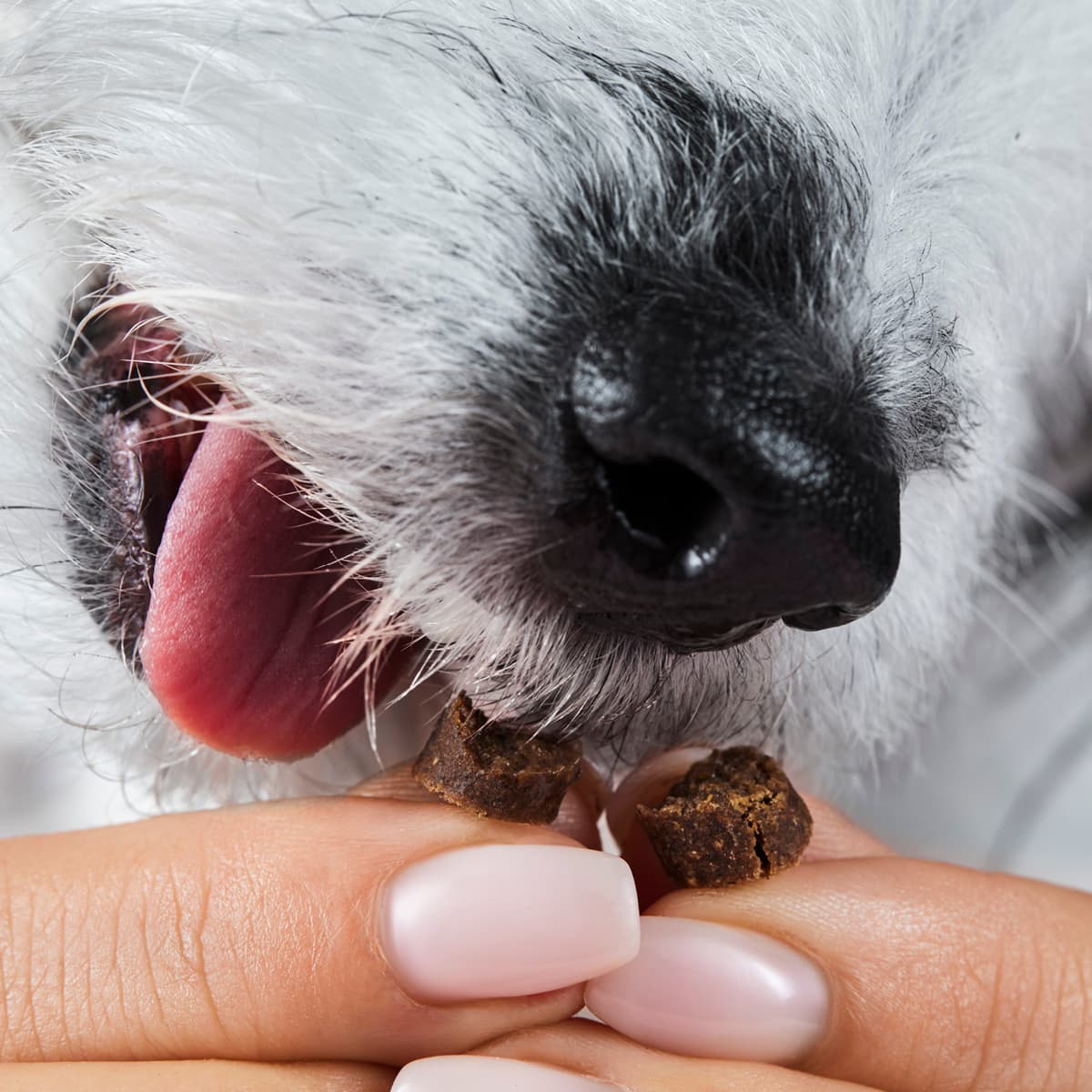 Snackie Drops