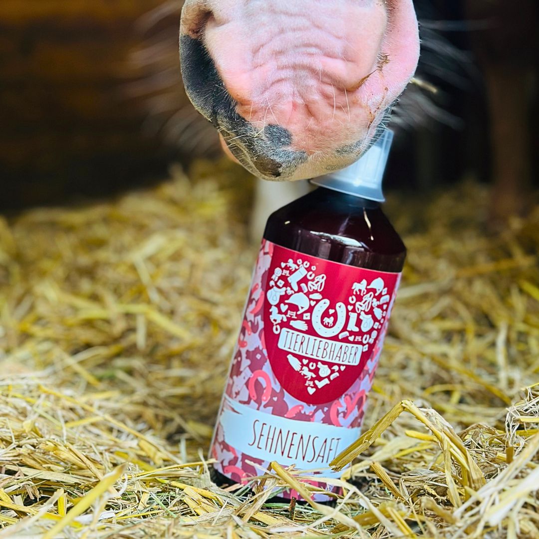 Sehnen Saft Pferd