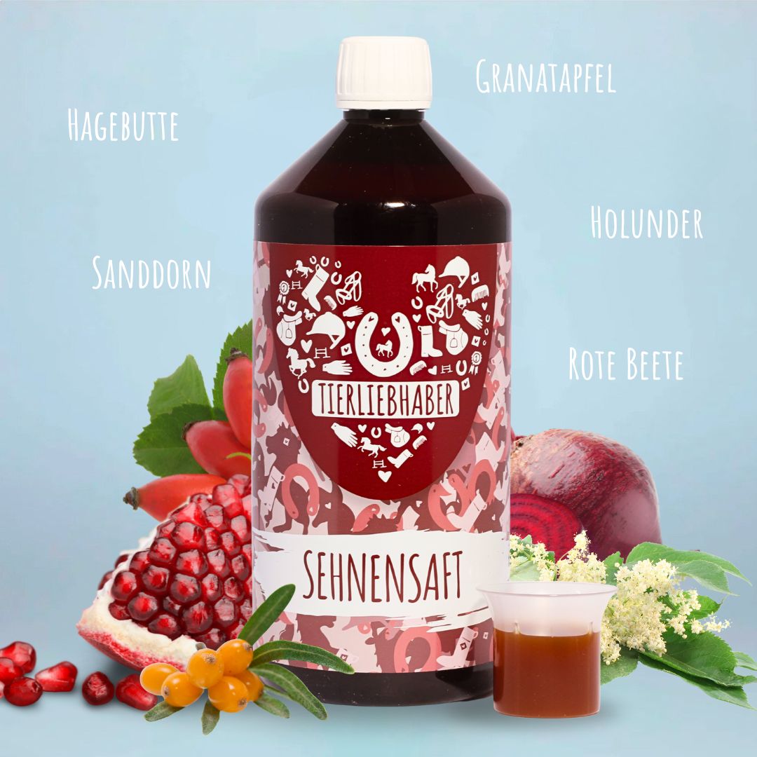 Sehnen & Gelenke Bundle Pferd