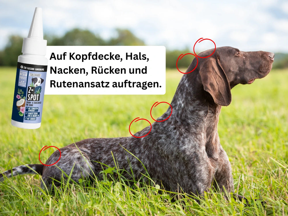 10 Sekunden Routine