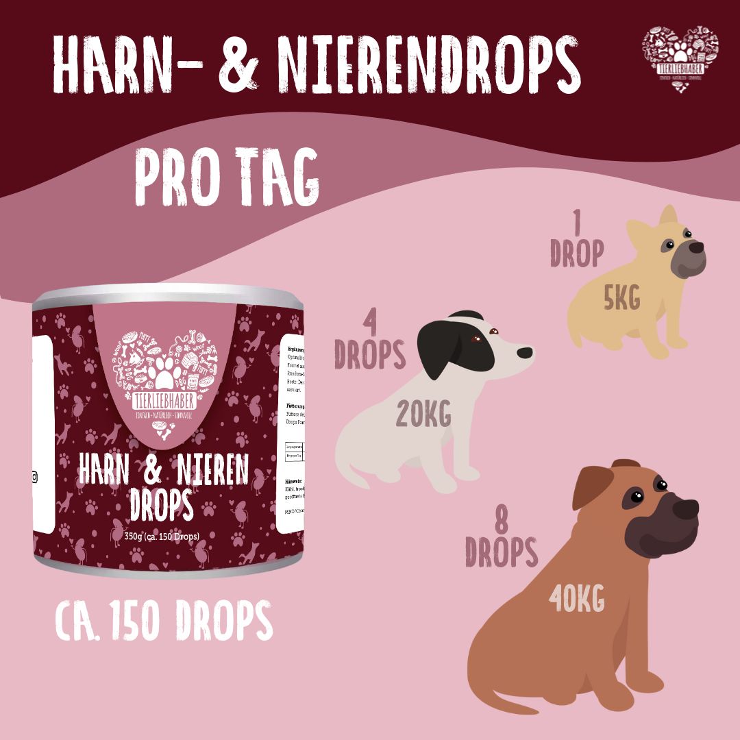 Harn- und Nieren Drops