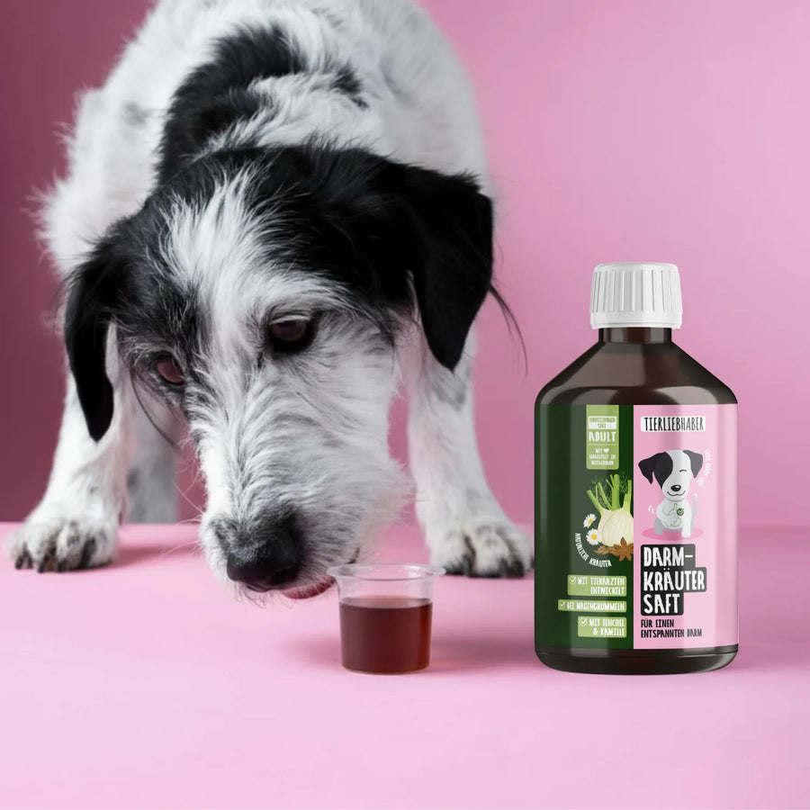 Darmkräuter Saft