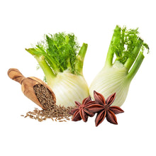 Fenchel, Anis und Kümmel