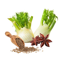 Fenchel, Anis und Kümmel