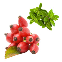 Hagebutte & Oregano
