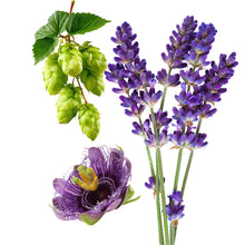 Hopfen, Lavendel und Passionsblume