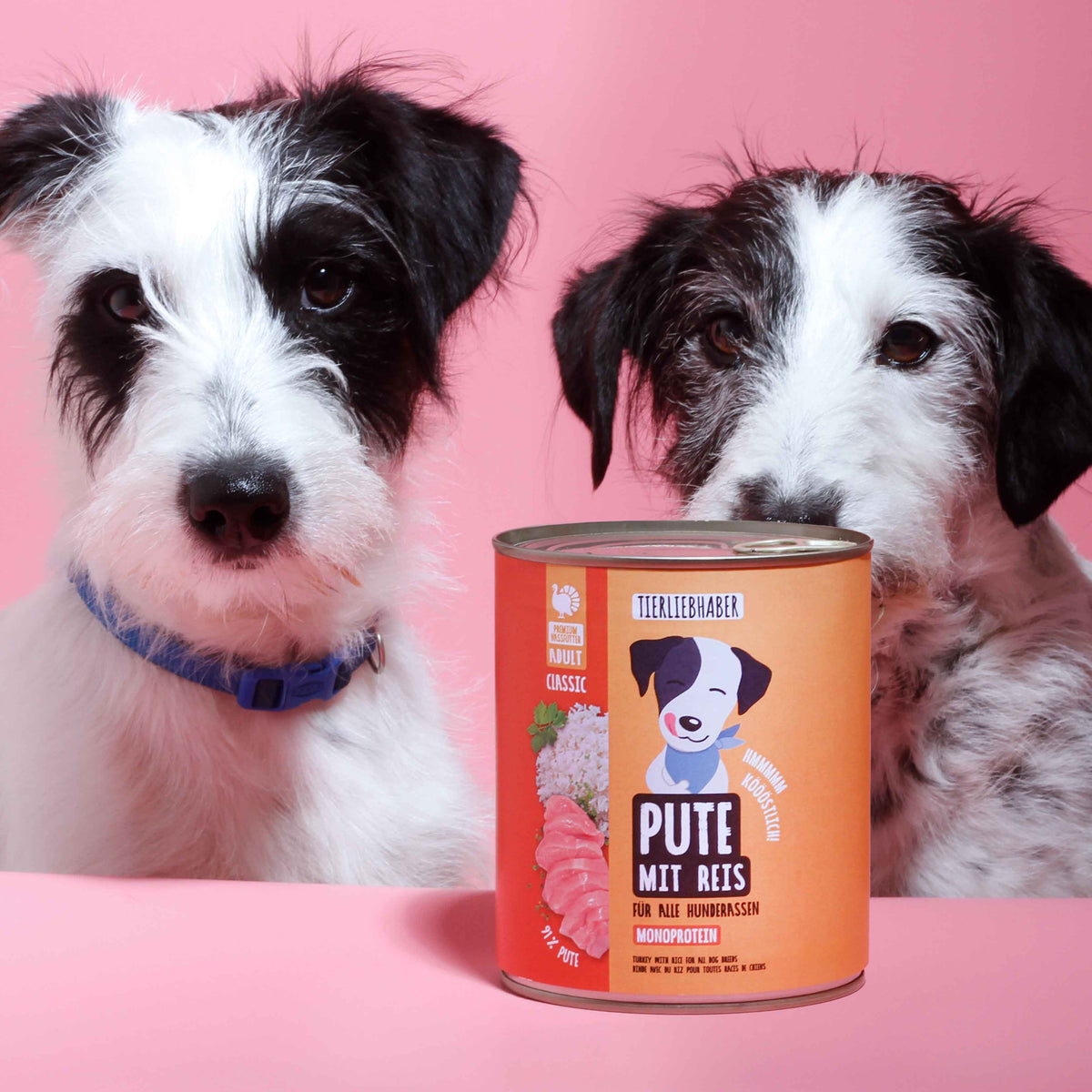 Nassfutter Pute mit Reis 800g