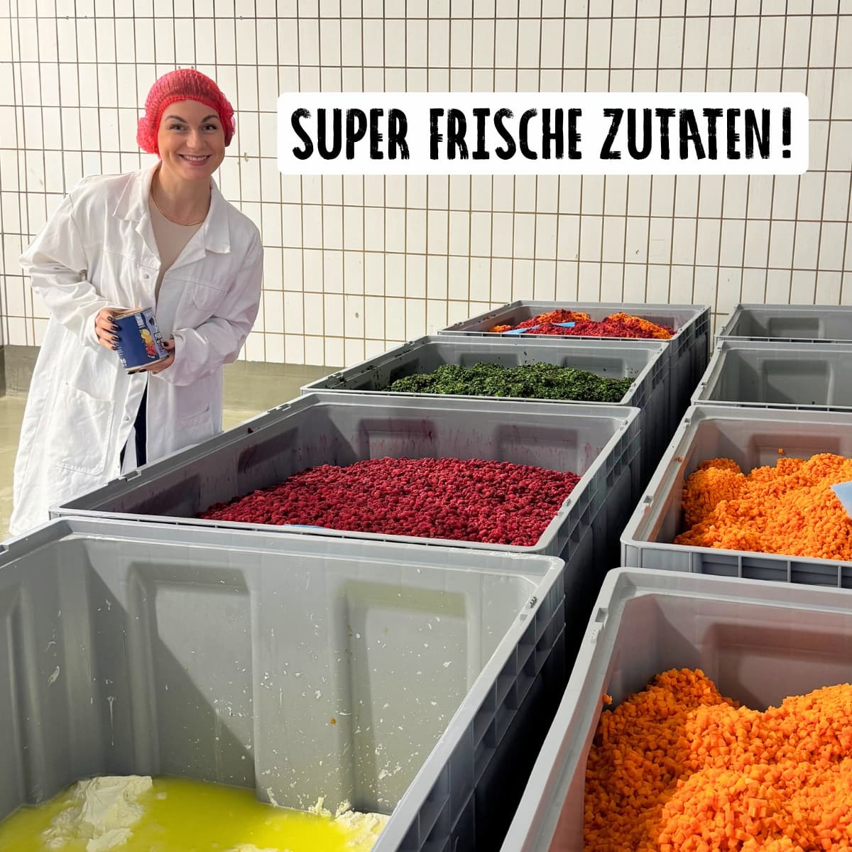 Nassfutter Probier Paket 8x400g
