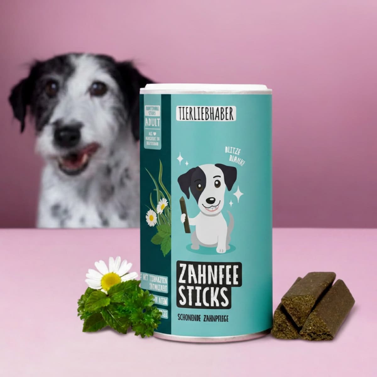Zahnpflege Bundle