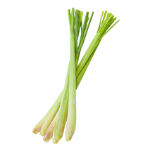 Zitronengras