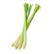 Zitronengras
