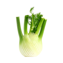 Fenchel