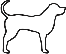 Großer Hund (35kg)