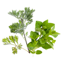 Wermut & Oregano